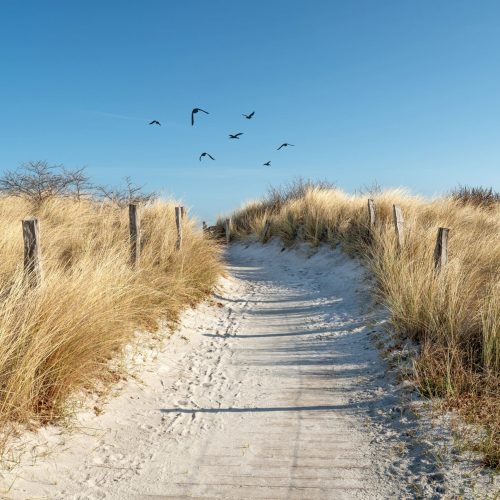wooden path to the sea - dunes, sand and sea